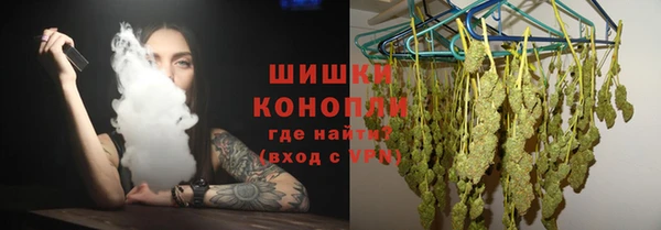 прущие грибы Армянск