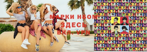гашик Аркадак
