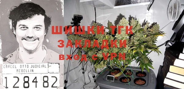 гашик Аркадак
