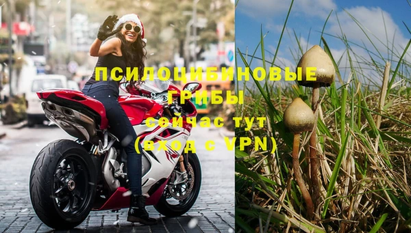 гашик Аркадак