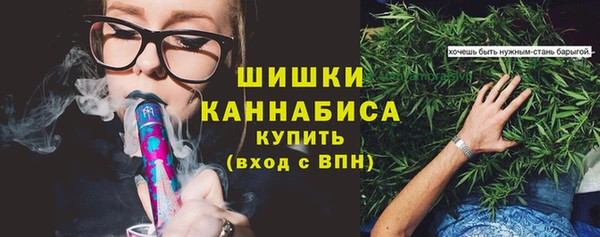 амф Арсеньев