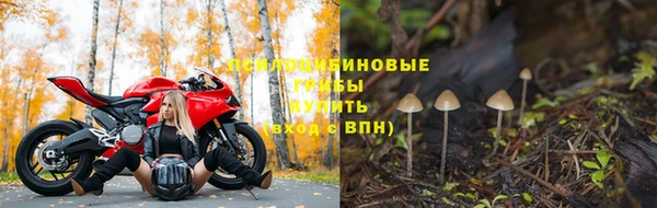 гашик Аркадак