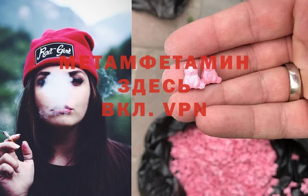 прущие грибы Армянск